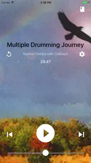 shamanic journey drumming - frauke rotwein iphone screenshot 1