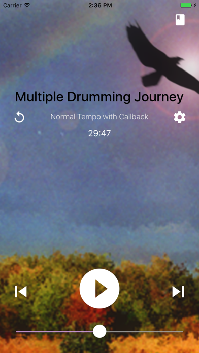 Shamanic Journey Drumming - Frauke Rotwein Screenshot