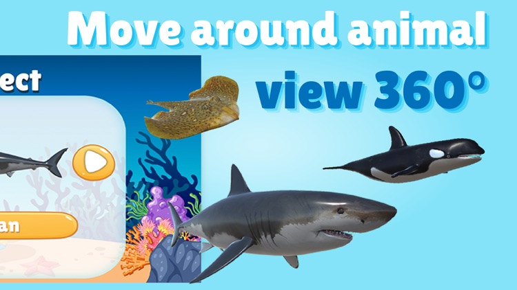 AR Ocean World 3D