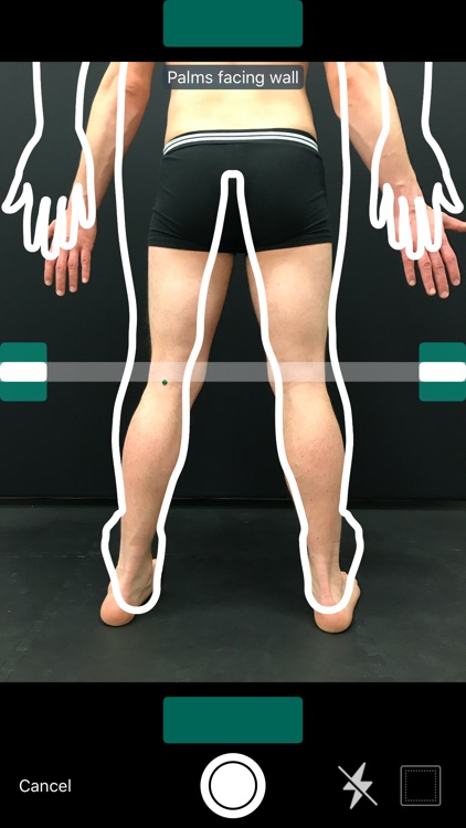 SkinIO