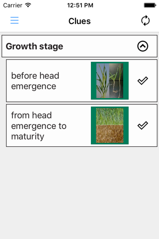 MyCrop Barley - náhled