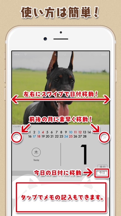 日めくりワンコ!®2018カレンダー screenshot1