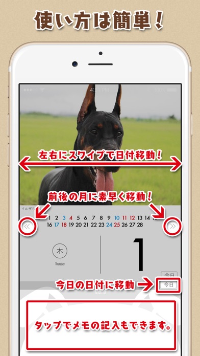 日めくりワンコ！®2018カレンダー screenshot1