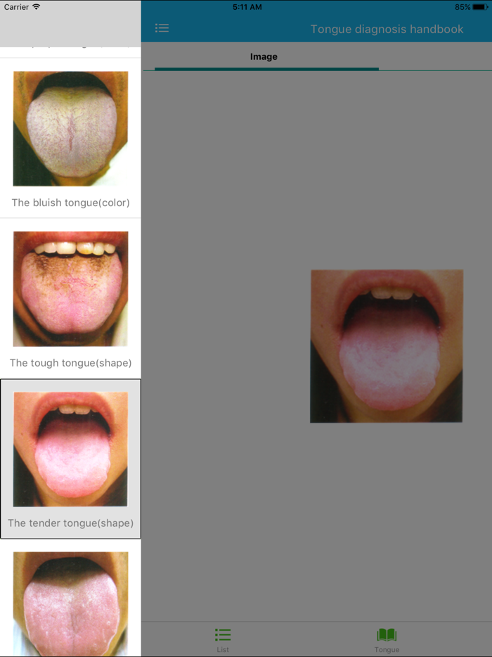 Tongue diagnosis handbook