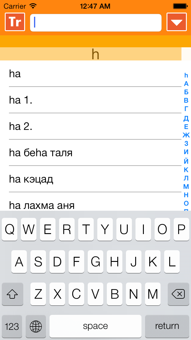 IRIS - mobile hebrew russian hebrew dictionary Screenshot 4