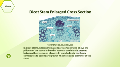 Plant Histology HDのおすすめ画像3