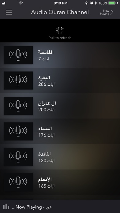 Audio Quran Channel screenshot 4