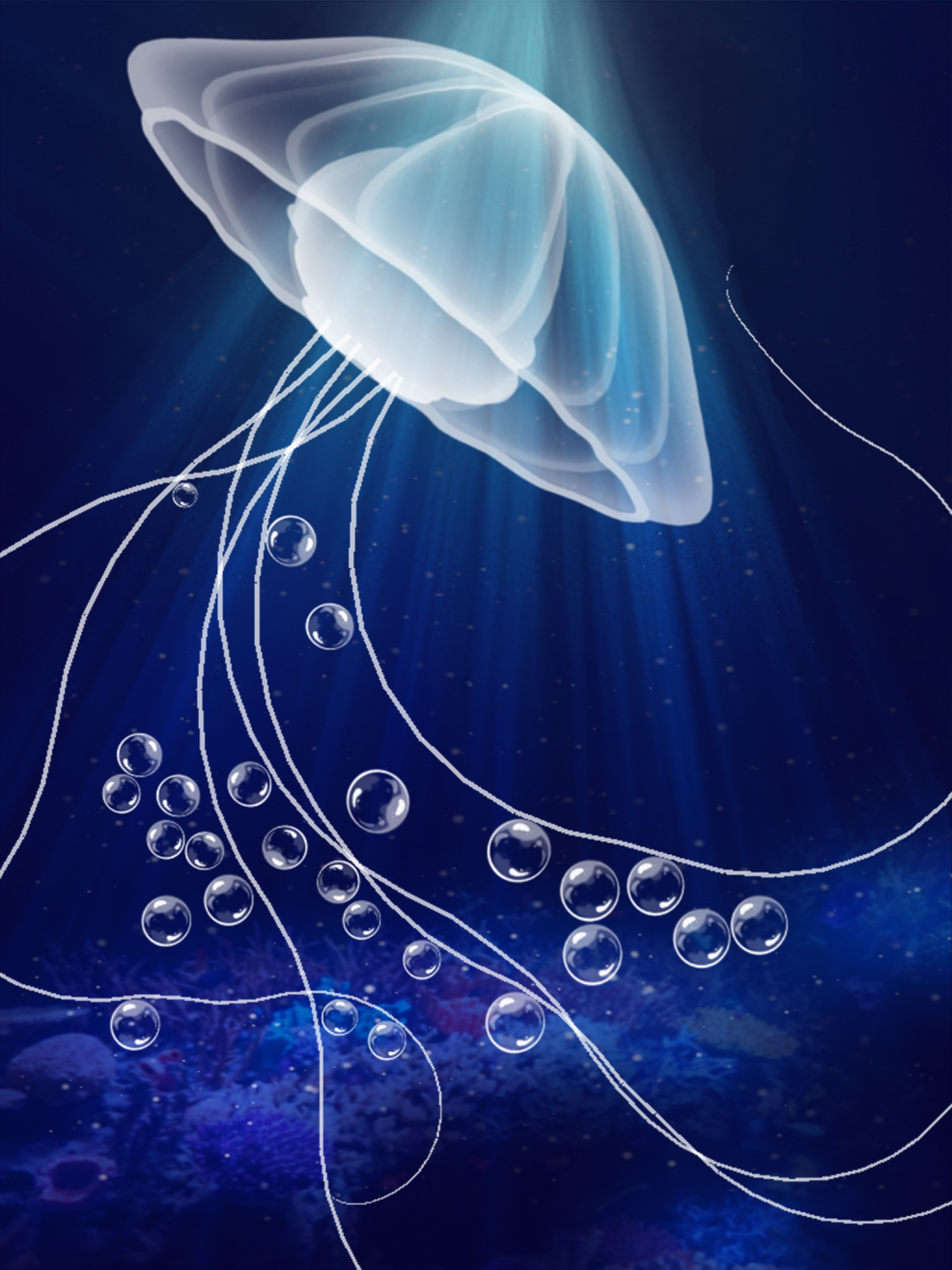 The Jellyfish Story screenshot 9