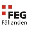 FEG Fällanden