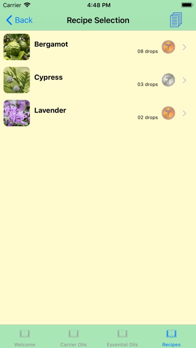 Aromatherapy Recipes screenshot 3