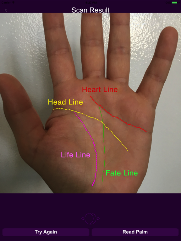 Screenshot #2 for Palmistry Pro Palm Reader