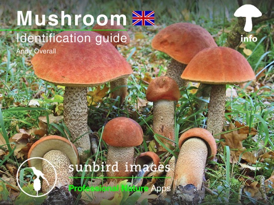 Screenshot #4 pour Mushroom Guide British Isles