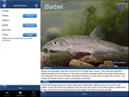 Fish Id - Freshwater Fish UK ipad bilder 2