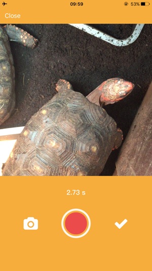 Tortoise - Keep Recording(圖5)-速報App