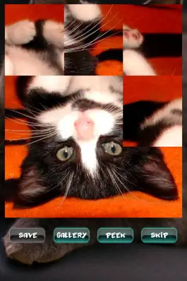 Game screenshot Пазлы с Кошками mod apk