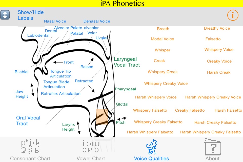 iPA Phonetics screenshot 2