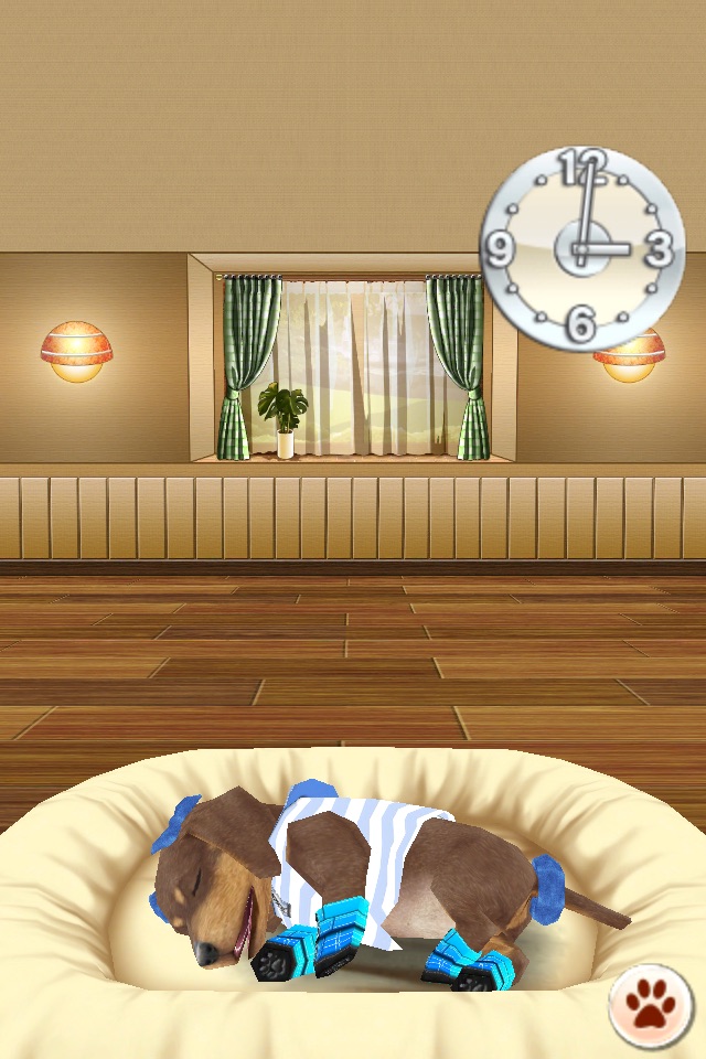 My Dog My Room screenshot 3