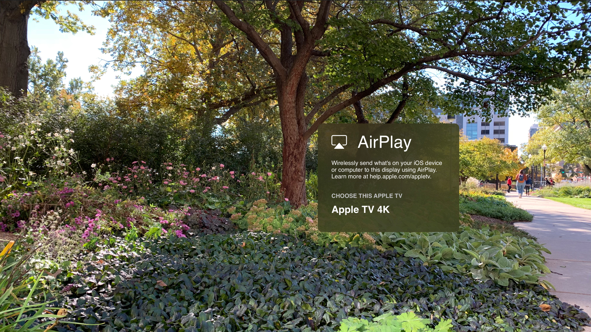 Exhibit: Media Viewer screenshot 3