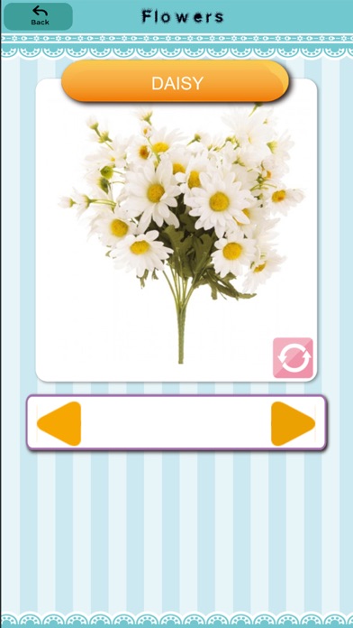 English FlashCard Kids iPhone screenshot