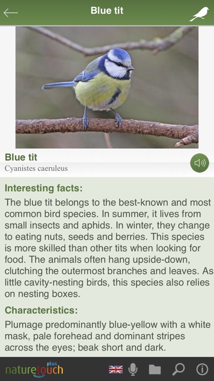 Identify live bird songs screenshot-4