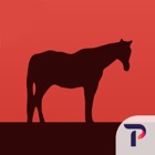 Top 19 Book Apps Like War Horse - Best Alternatives