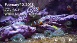 aquarium 4k - ultra hd video iphone screenshot 4