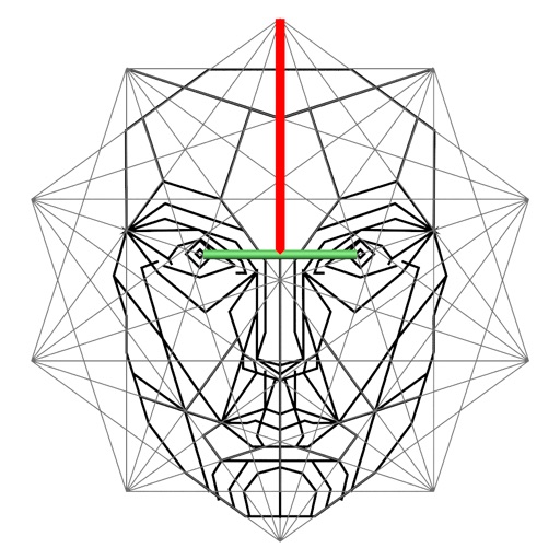 Golden Ratio Face