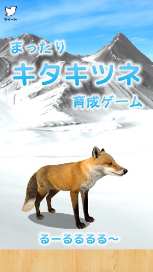 Cute Fox Healing Life(圖1)-速報App