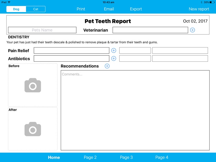 Pet Teeth Report