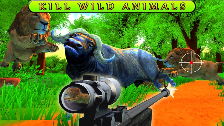 Jungle Four-Footed Animal Hunt