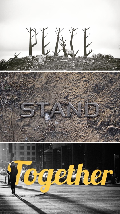 OVLA - Creative Typography Design