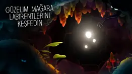 shine - işığın yolculuğu iphone resimleri 1