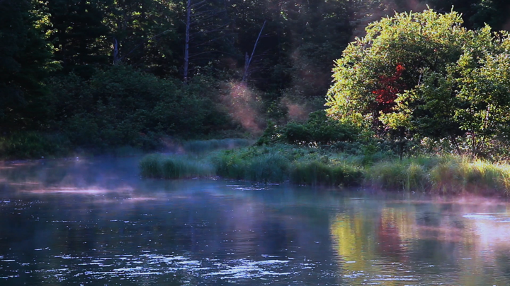 Screenshot #3 pour Atmo: Live Relaxing HD Scenes