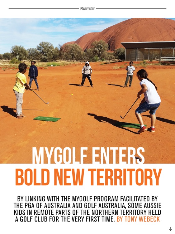 The Professional PGA screenshot-4