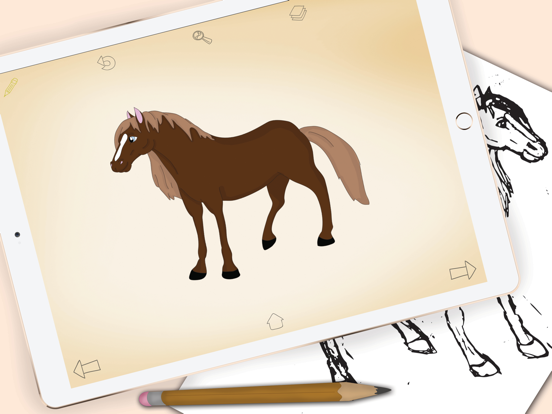 Screenshot #4 pour Comment dessiner les chevaux