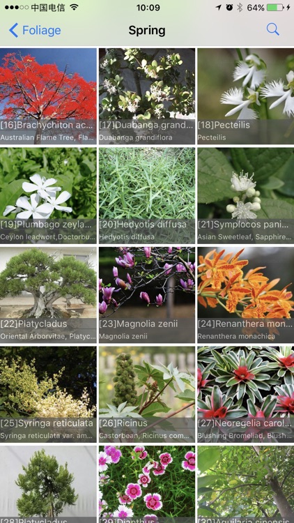 Foliage Plants screenshot-3