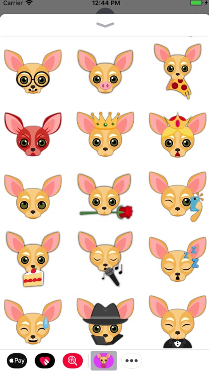 Animated Fawn Chihuahua