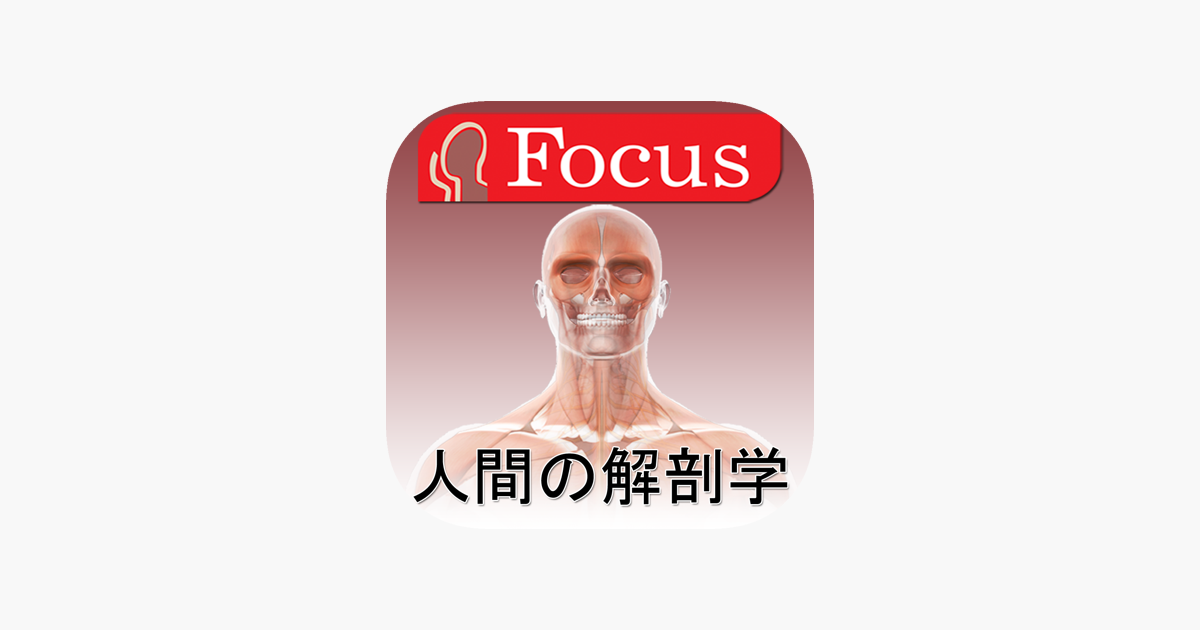 グレイ解剖学アトラス グレイ解剖学アトラス原著第3版 / Anatomy 今日も明日も/グレイ
