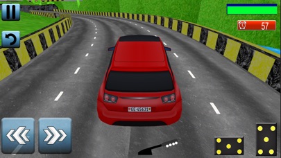Passenger Car Parking 3D screenshot 3