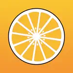 Lemon VPN - Speed Network VPN Accelerator App Contact