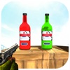 Bottle Shoot 3D Shooting Game