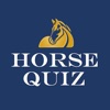 Icon Horse Quiz by HayGrazer