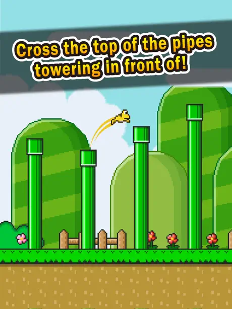 Jumping Frog - pipes adventure -