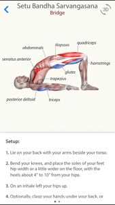 3D Yoga Anatomy screenshot #2 for iPhone