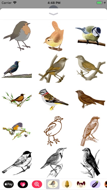 Bitty Bird Stickers