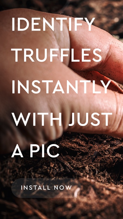 Truffle - Instant truffle mushroom identification