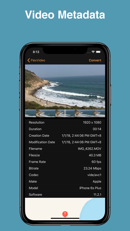 FlexVideo screenshot-3