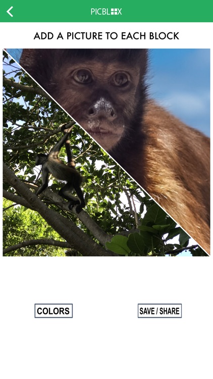 PicBlox screenshot-4