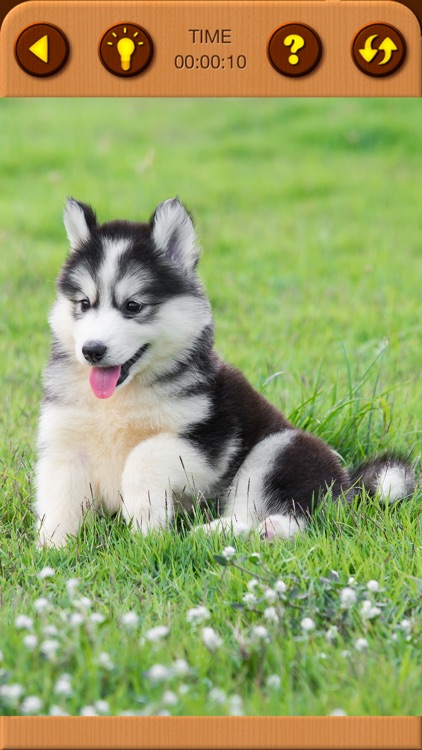 Cute Puppy Jigsaw Puzzle Games screenshot-9