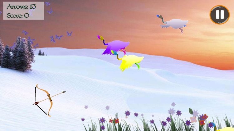 Adventure Wild Crane Shooting